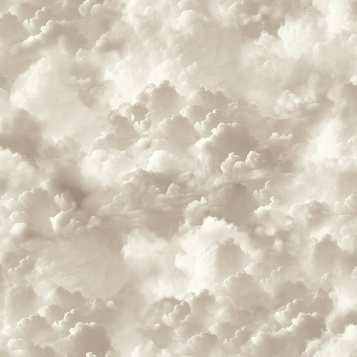 Arthouse Vanilla Skies Neutral Wallpaper