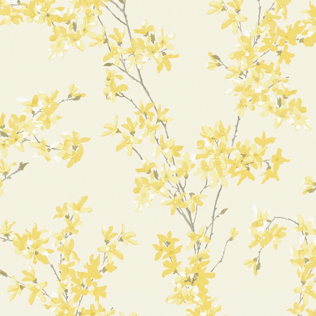 Laura Ashley Forstyhia Sunshine Wallpaper
