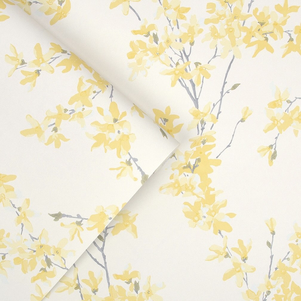 Laura Ashley Forstyhia Sunshine Wallpaper