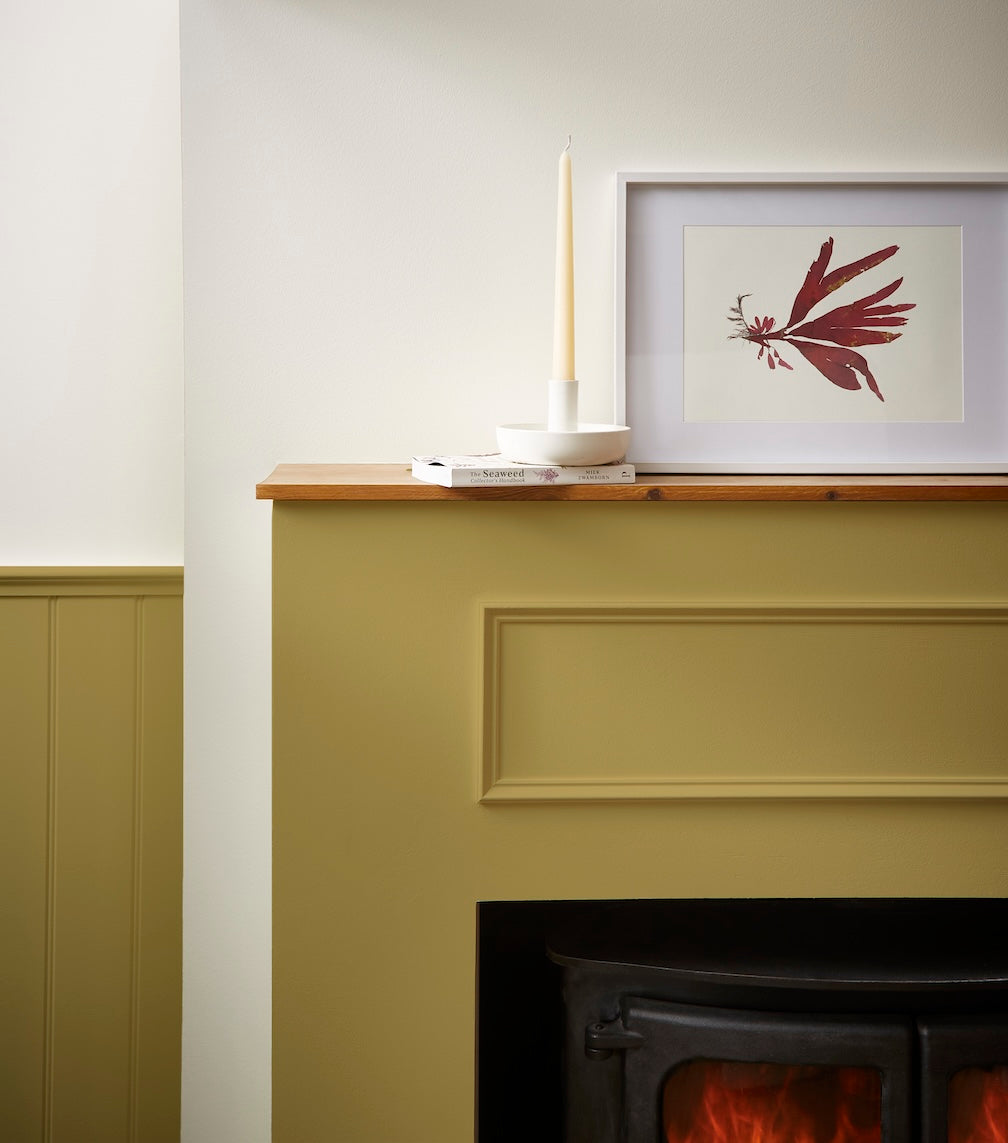 Joules Twitcher Multi Surface Matt Paint 2.5L