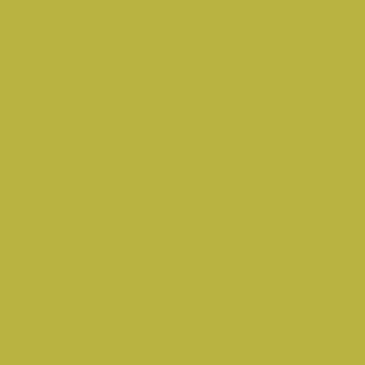Joules Beckett’s Gold Multi Surface Matt Paint 2.5L