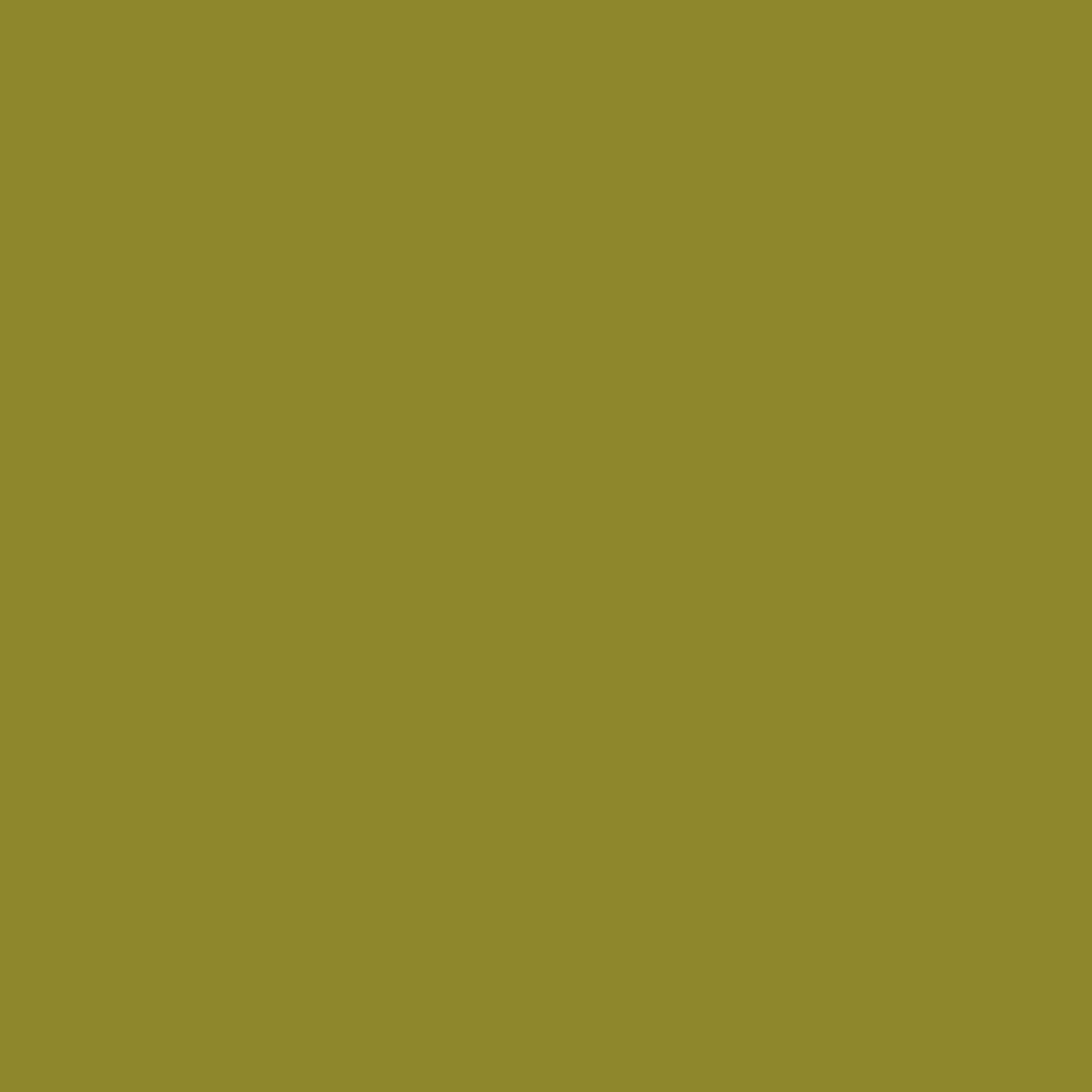Joules Spixworth Green Multi Surface Matt Paint 2.5L