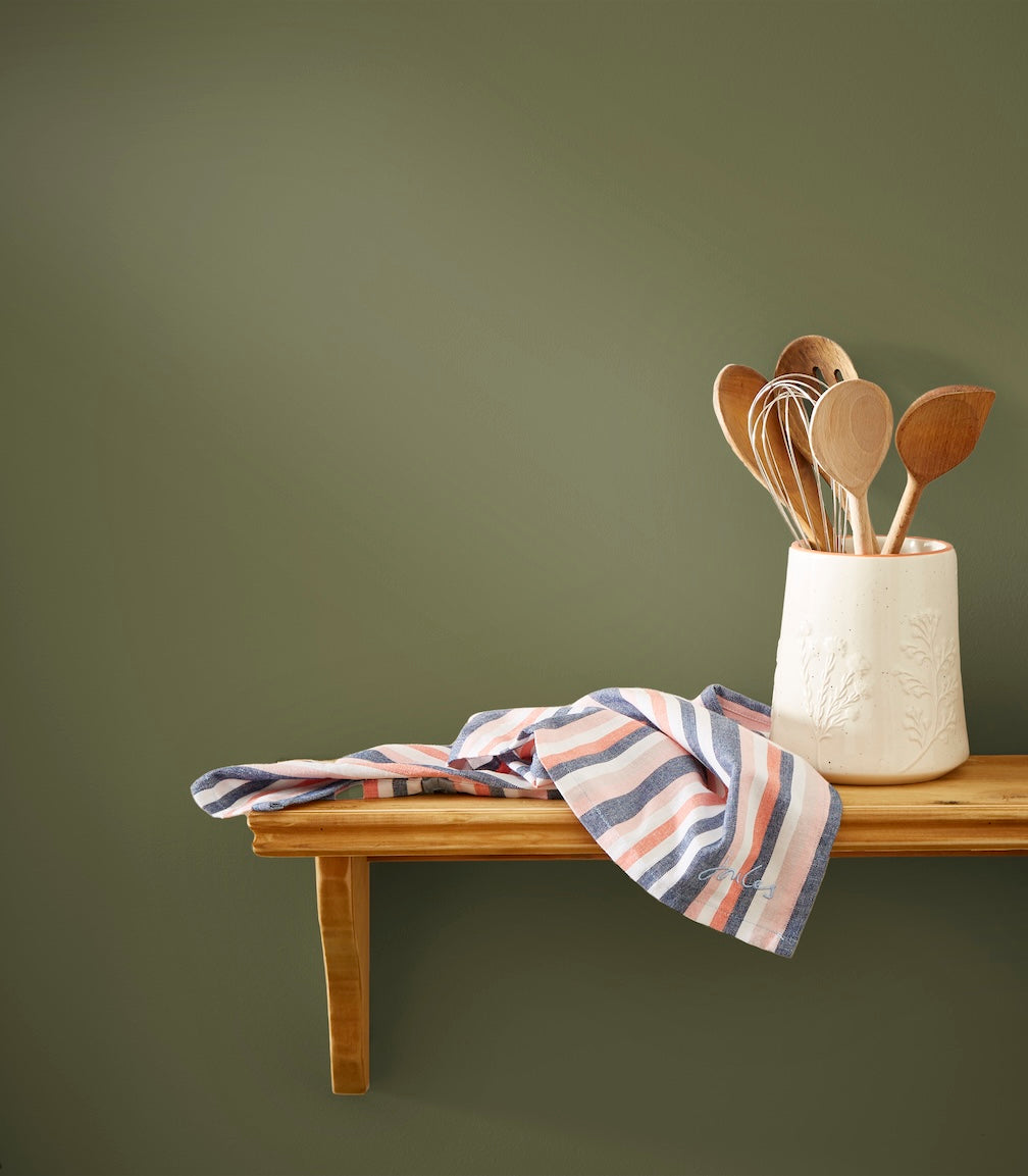 Joules Picnic Blanket Multi Surface Matt Paint 2.5L