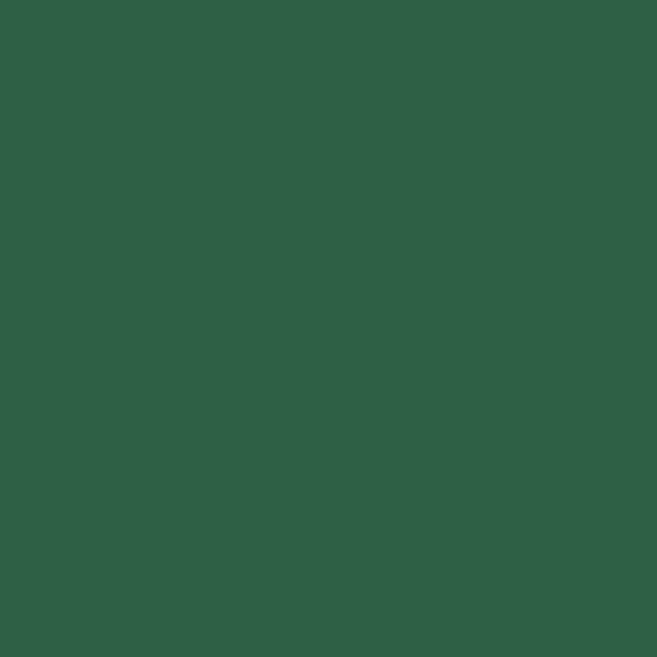 Joules Wild Swim Multi Surface Matt Paint 2.5L