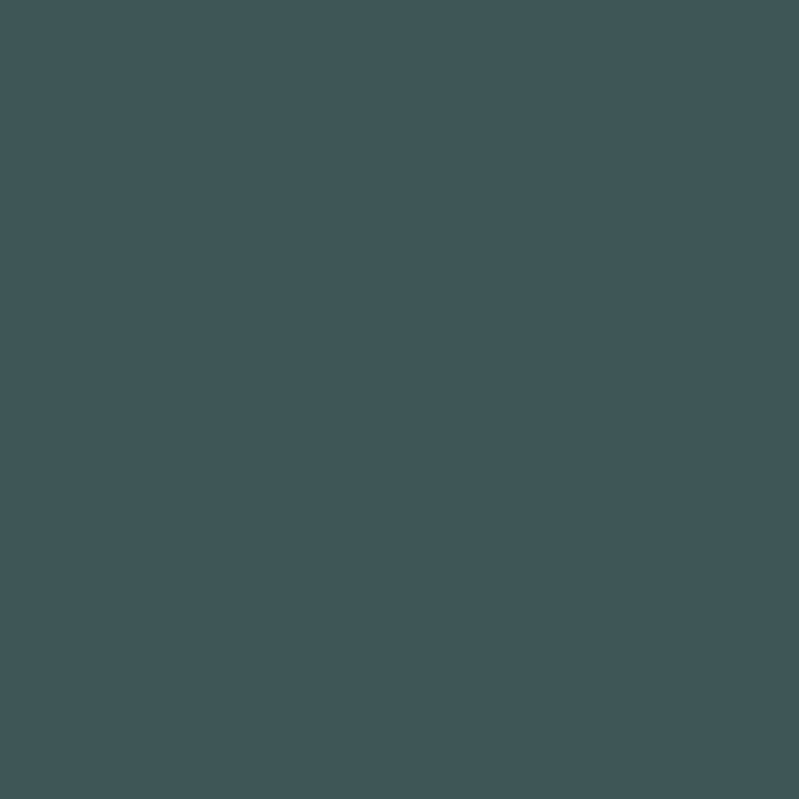 Joules Wild Wonders Multi Surface Matt Paint 2.5L