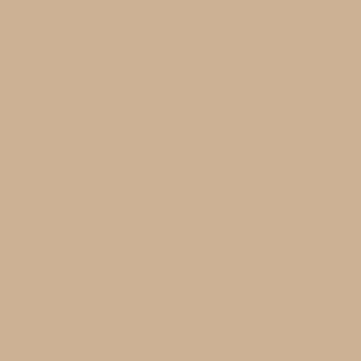 Joules Crispy Leaf Multi Surface Matt Paint 2.5L
