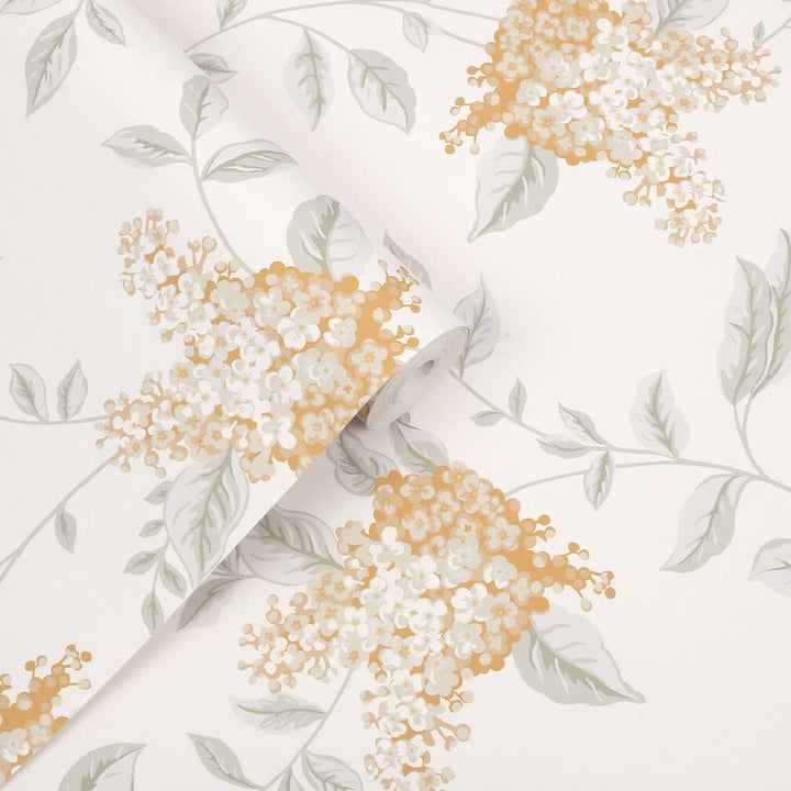 Laura Ashley Portland Apricot Wallpaper