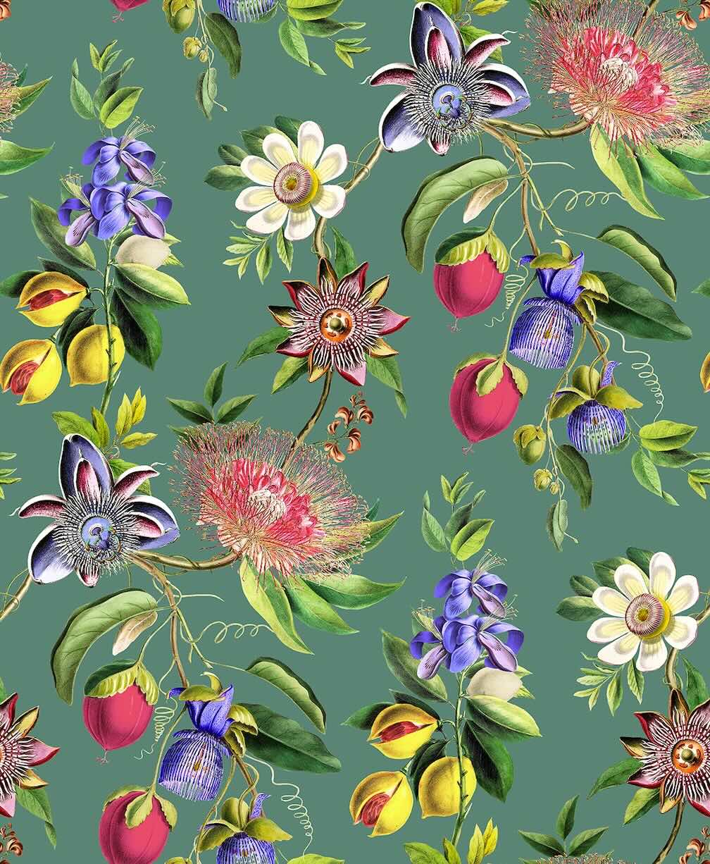 Graham & Brown Physic Garden Teal Wallpaper