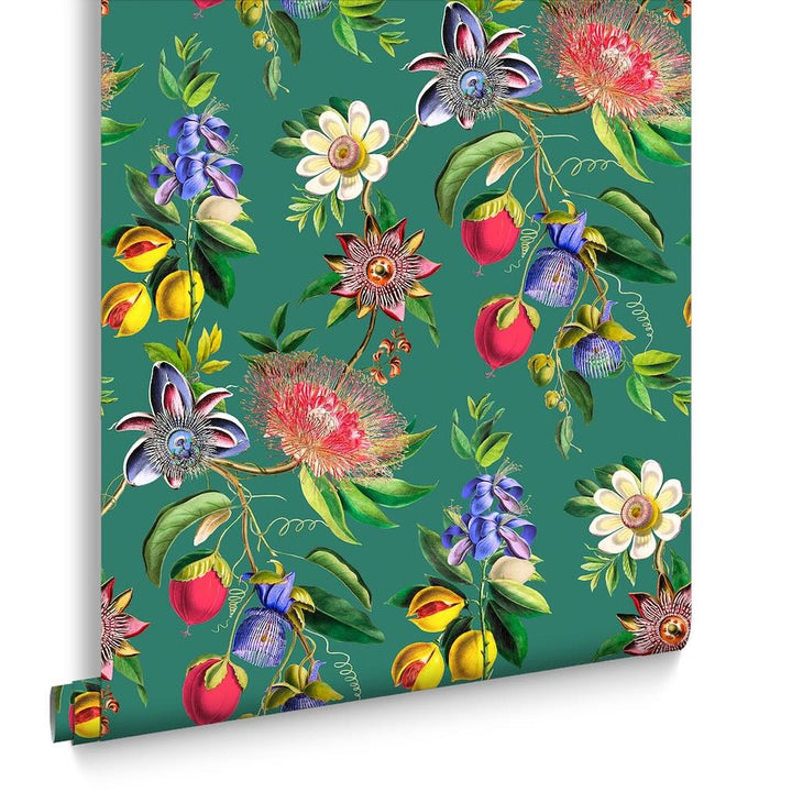 Graham & Brown Physic Garden Teal Wallpaper