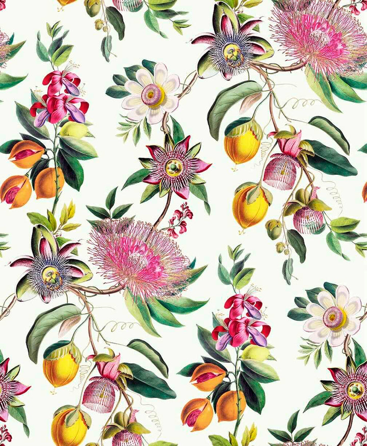 Graham & Brown Physic Garden Lush Wallpaper