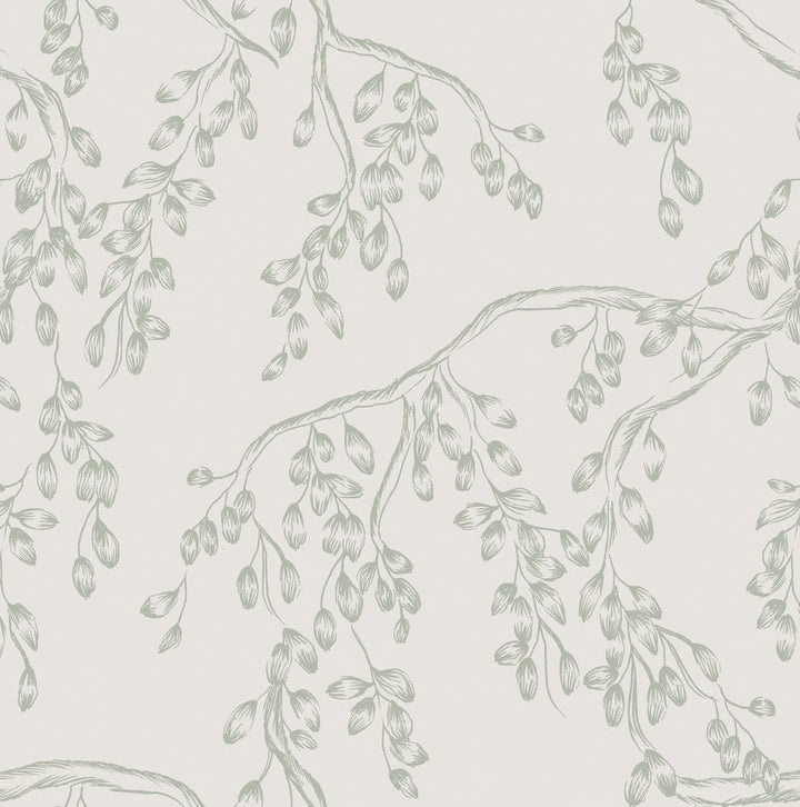 Laura Ashley Rainham Willow Sage Wallpaper