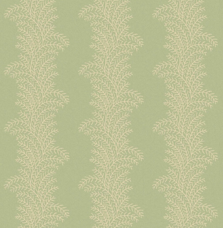 Graham & Brown Whispering Fern Dark Sage Wallpaper