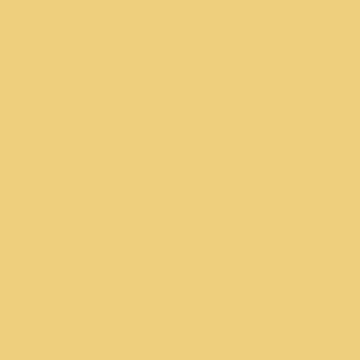 Joules Gorse Blossom Multi Surface Matt Emulsion Paint 2.5L