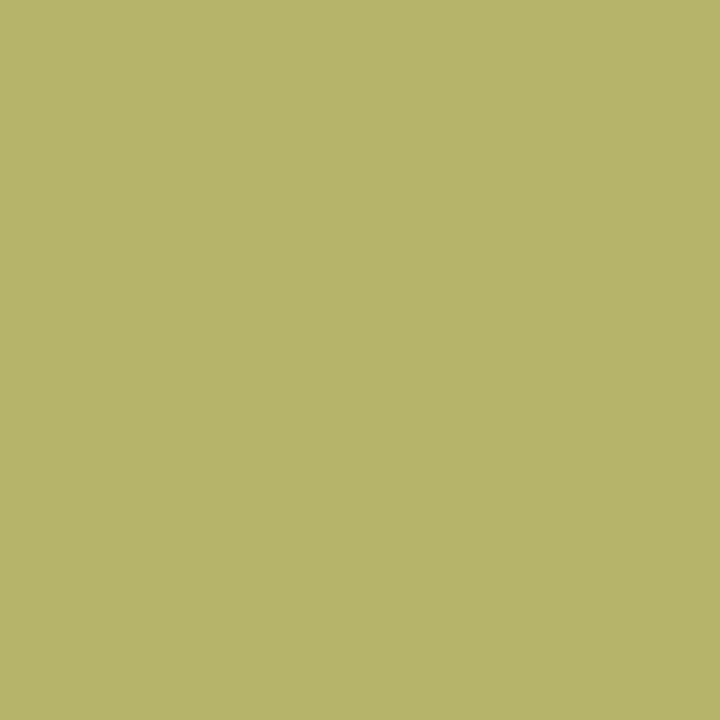 Joules Spring Pasture Multi Surface Matt Paint 2.5L