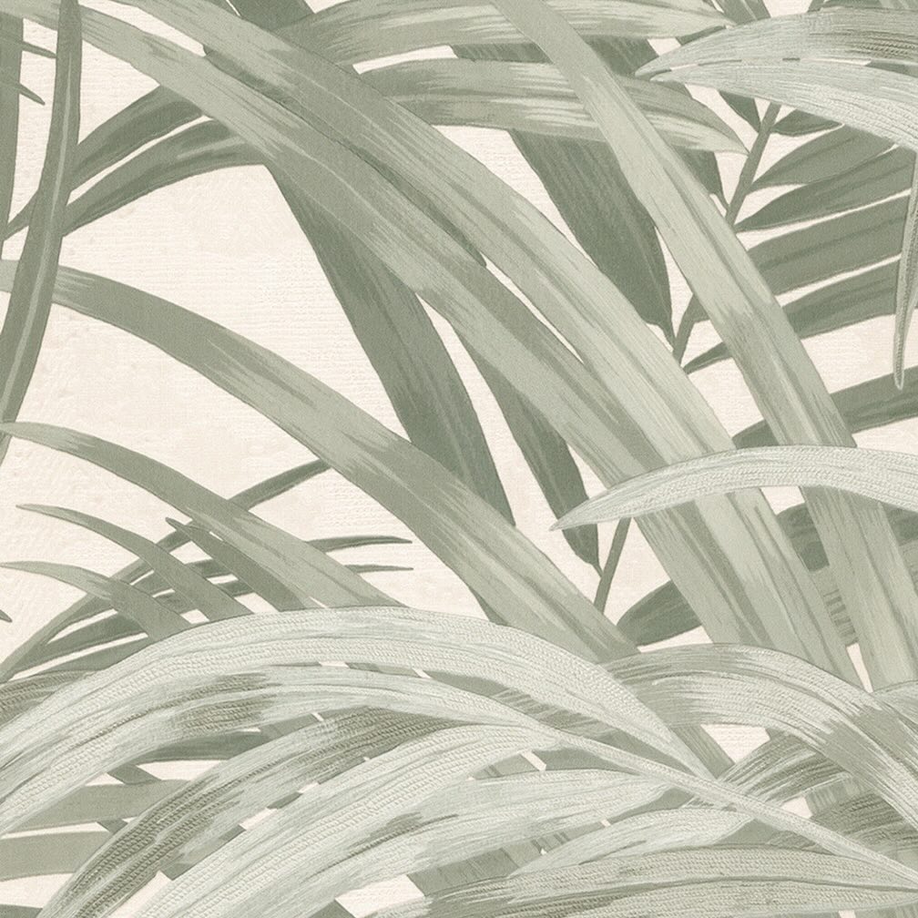 Boutique Congo Forest Wallpaper
