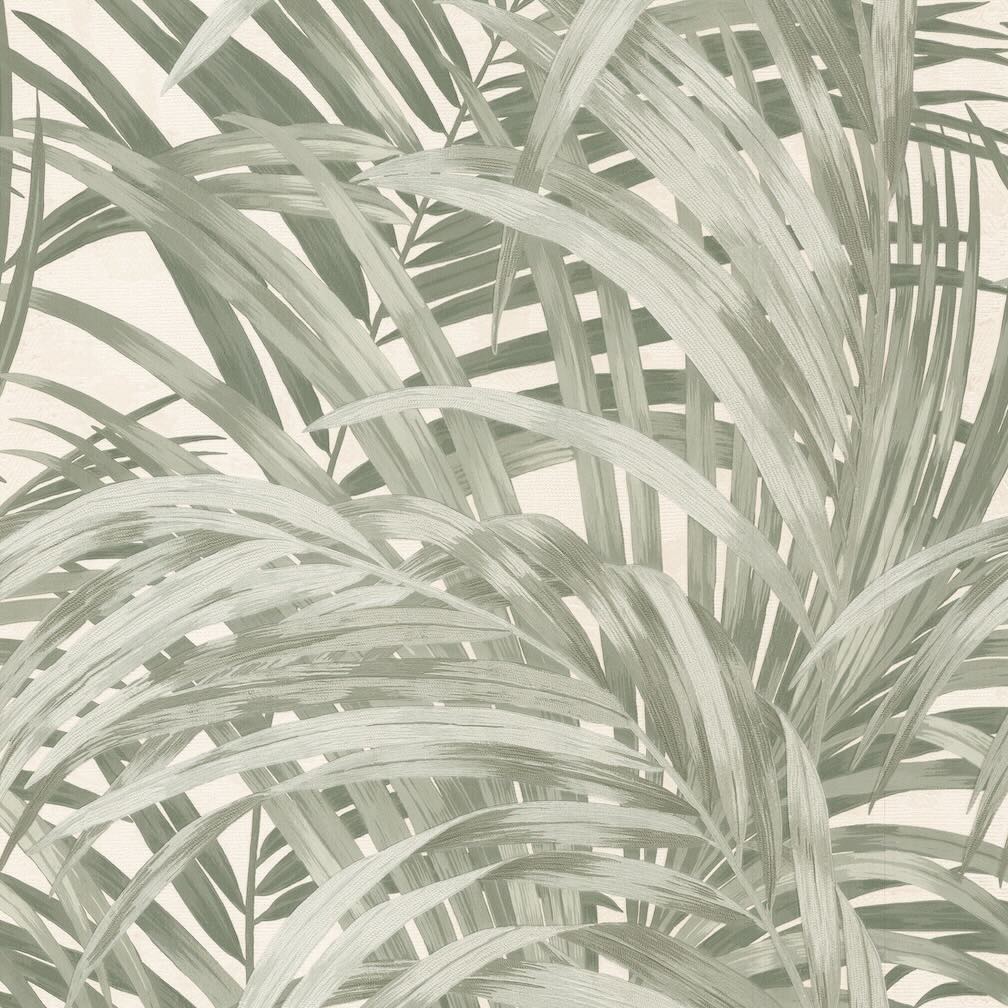 Boutique Congo Forest Wallpaper