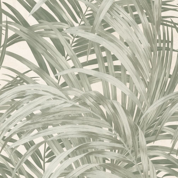 Boutique Congo Forest Wallpaper