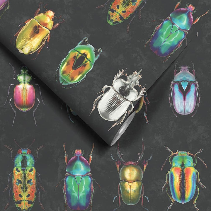 Woodchip & Magnolia Beetle Jewels Multi Black Wallpaper