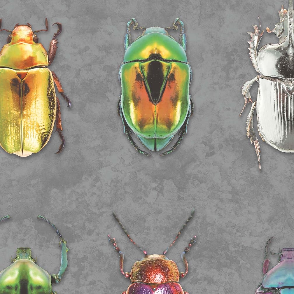 Beetle Jewels Multi Charcoal Wallpaper
