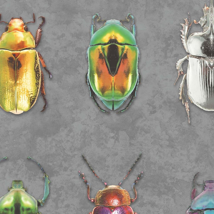 Beetle Jewels Multi Charcoal Wallpaper