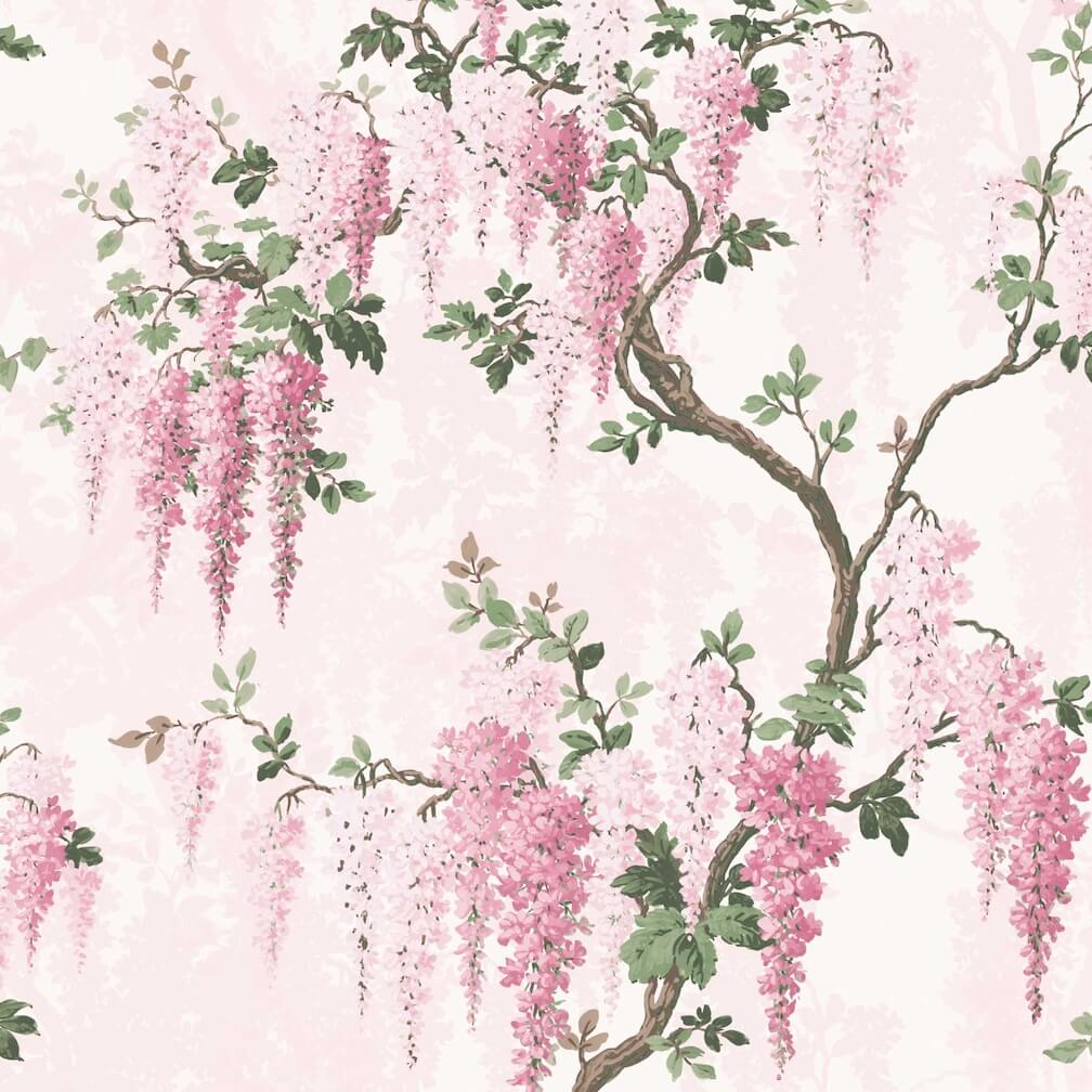Wisteria Pretty Pink Wallpaper