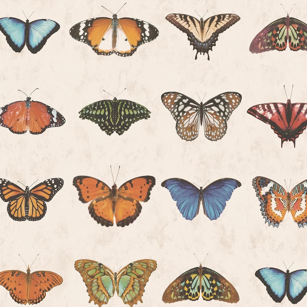 Woodchip & Magnolia Lepidoptera Natural Wallpaper