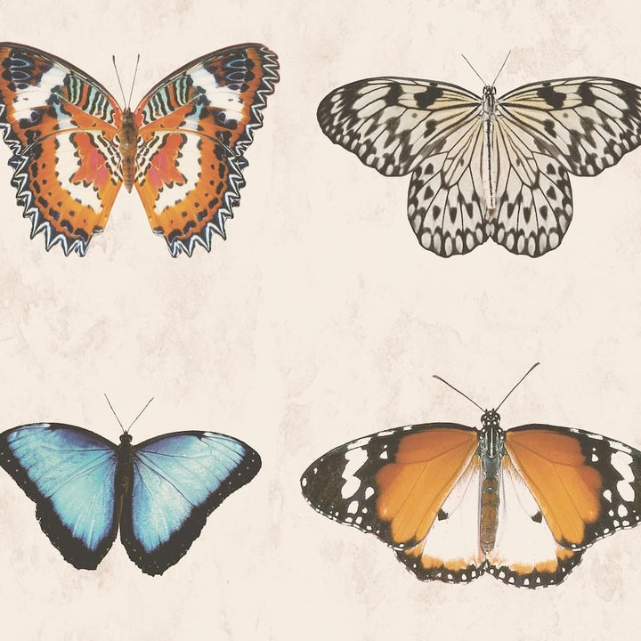 Woodchip & Magnolia Lepidoptera Natural Wallpaper