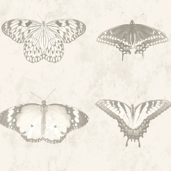 Woodchip & Magnolia Lepidoptera Magnolia Wallpaper