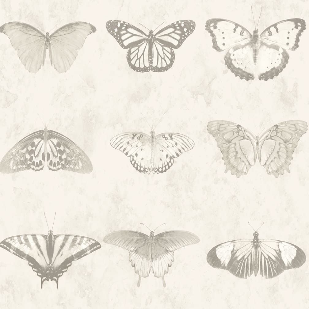 Woodchip & Magnolia Lepidoptera Magnolia Wallpaper