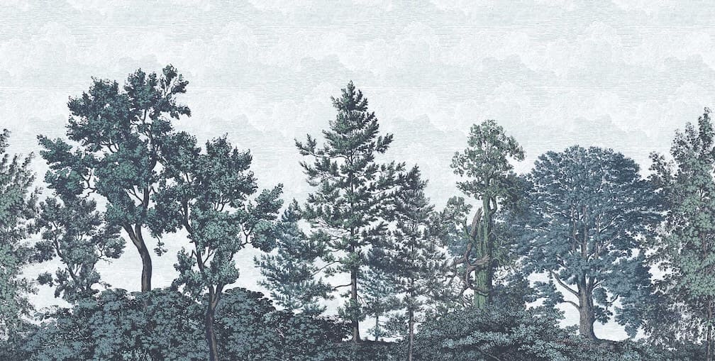 Woodchip & Magnolia Heaton Border - Reservoir Blue