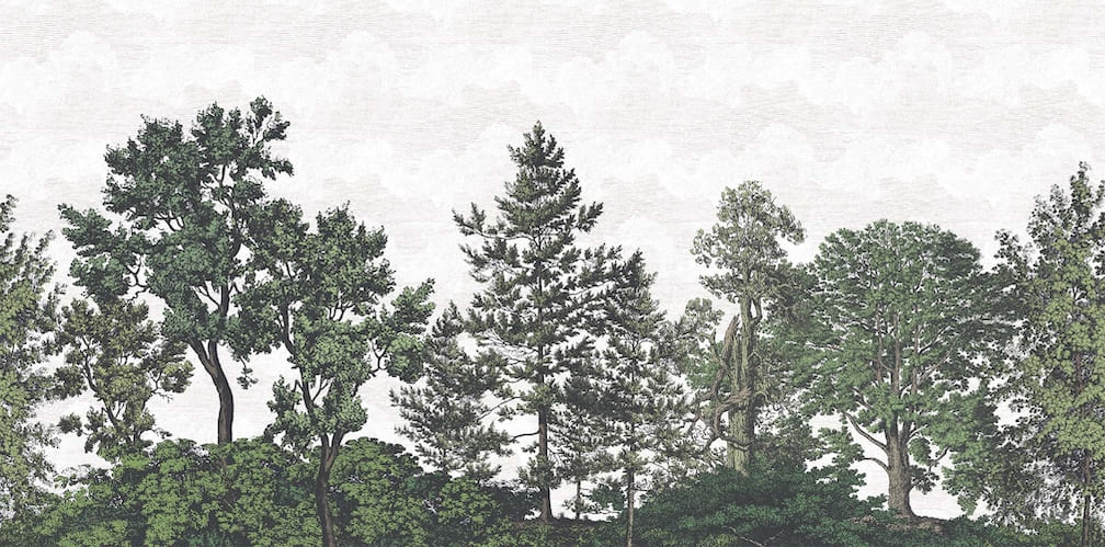 Woodchip & Magnolia Heaton Border - Green