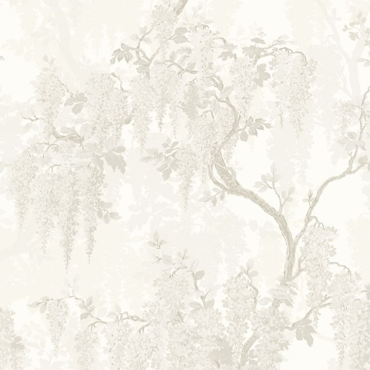 Woodchip & Magnolia Wisteria Magnolia Wallpaper