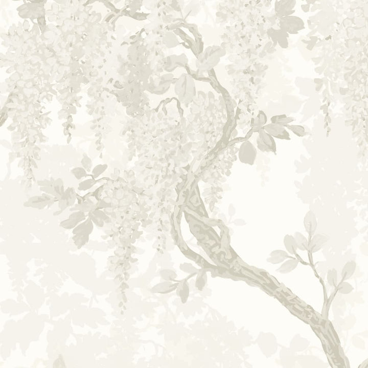 Woodchip & Magnolia Wisteria Magnolia Wallpaper