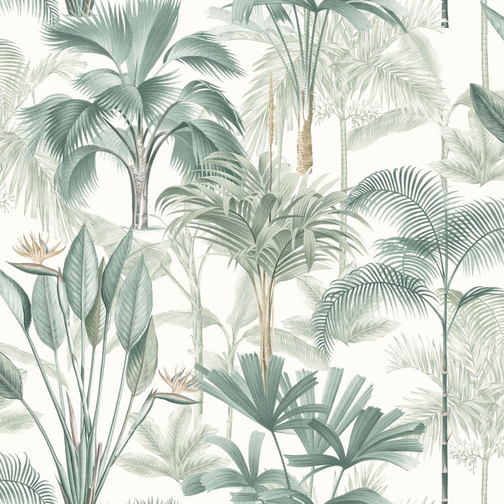 Arthouse King Palm Green Wallpaper - 922908