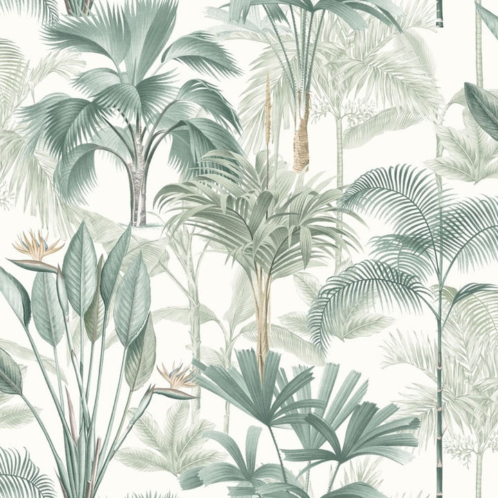 Arthouse King Palm Green Wallpaper - 922908