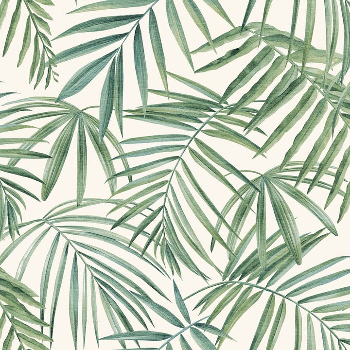 Arthouse Palm Leaves Green Wallpaper - 923909