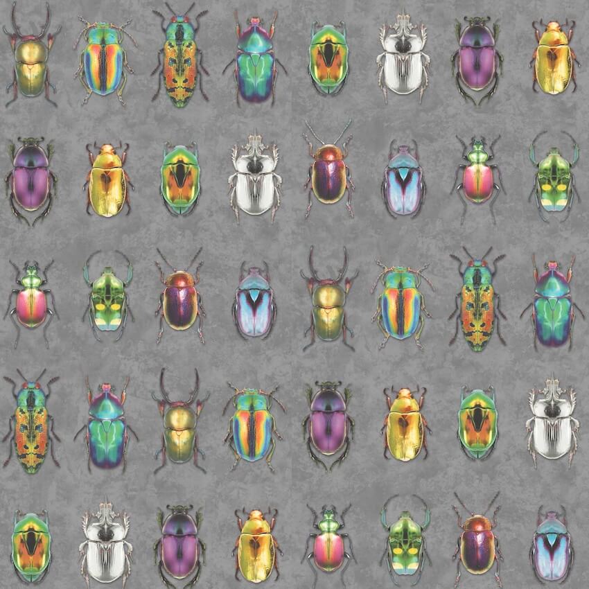 - Beetle Jewels Multi Charcoal Wallpaper - WM - 092 - 1 - Decor Warehouse