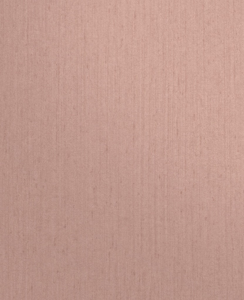 - Clarissa Hulse Tisbury Shell Wallpaper - 120374 - Decor Warehouse