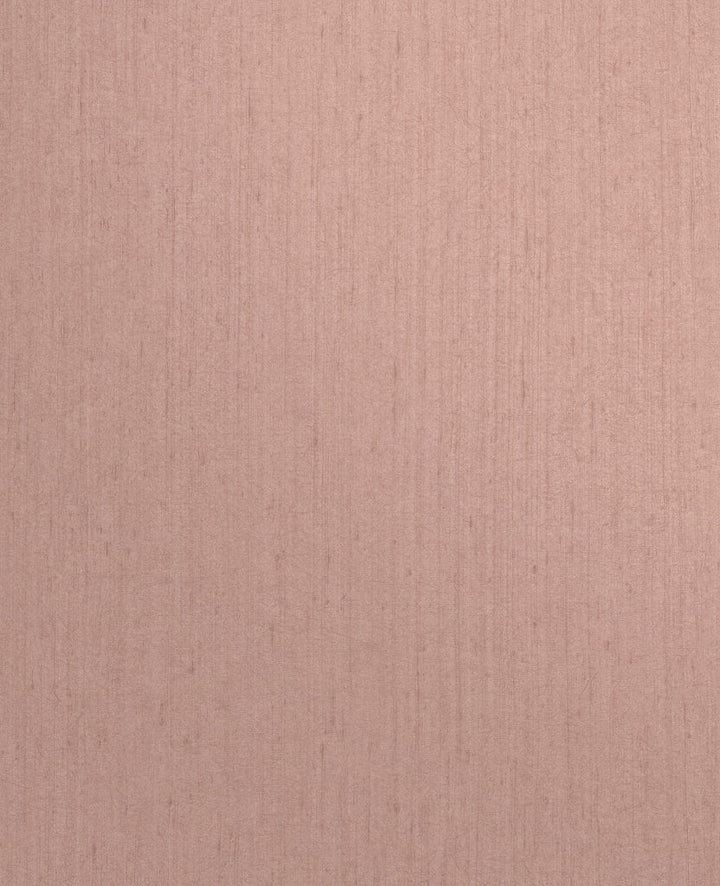 - Clarissa Hulse Tisbury Shell Wallpaper - 120374 - Decor Warehouse