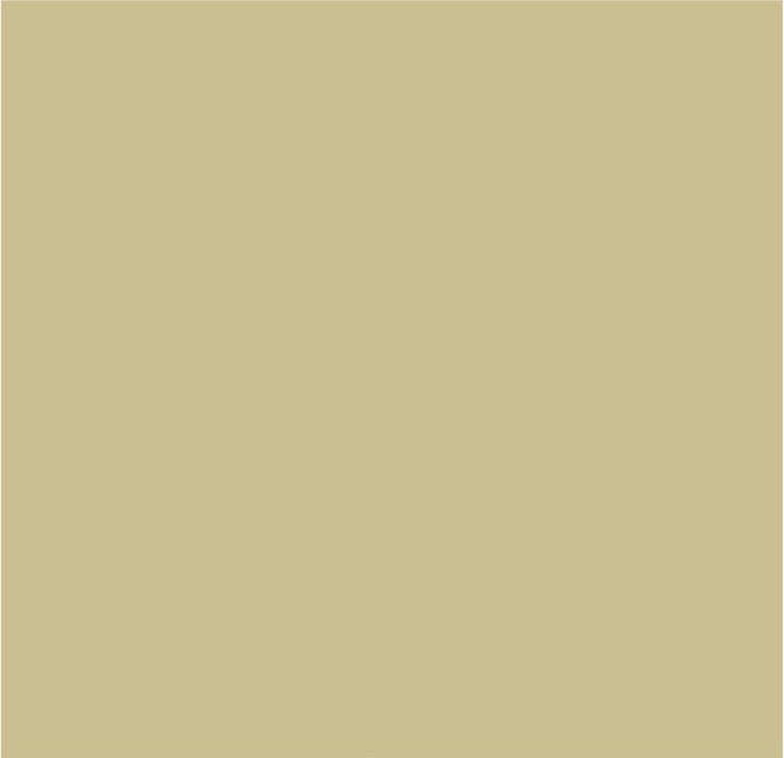 Crown Colour Edit Knotted Paint - B9501J - MV - 10