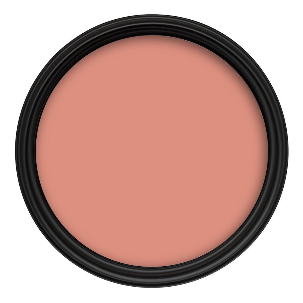 Crown Colour Edit Neroli Paint - Y1352A - MV - 10