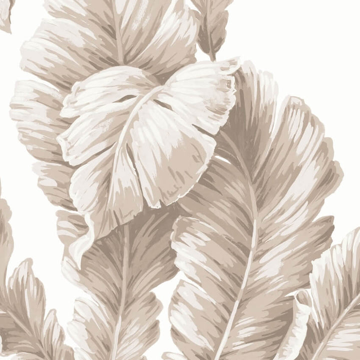 - Lets Go Bananas Natural Wallpaper - WM365 - 02 - Decor Warehouse