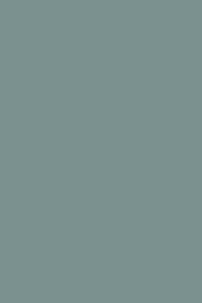 - Next Ultimate Multi Surface Matt Emulsion Paint - Deep Duck Egg 2.5L - U37100 - Decor Warehouse