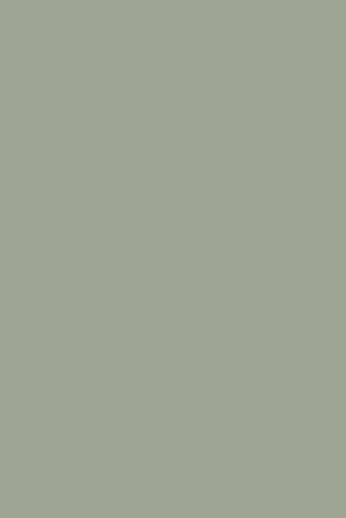 - Next Ultimate Multi Surface Matt Emulsion Paint - Mid Sage Green 2.5L - U37094 - Decor Warehouse