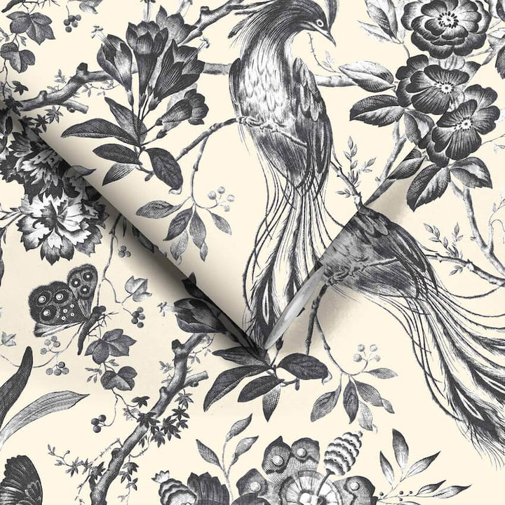 - Plumage Charcoal / Cream Wallpaper - WM - 368 - 01 - Decor Warehouse
