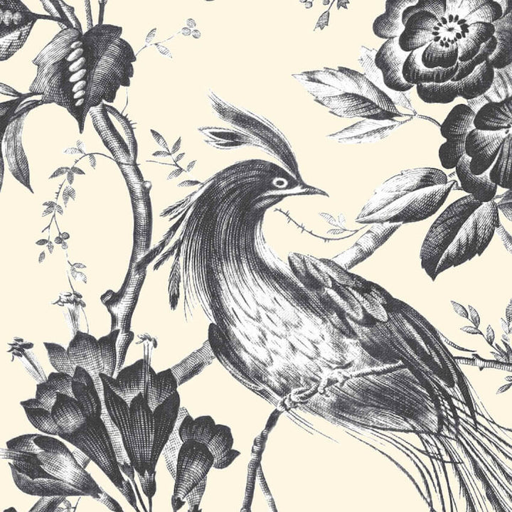 - Plumage Charcoal / Cream Wallpaper - WM - 368 - 01 - Decor Warehouse
