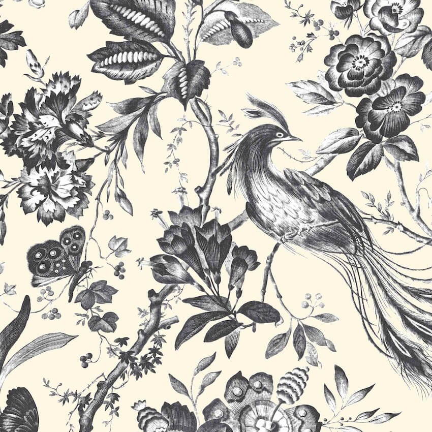 - Plumage Charcoal / Cream Wallpaper - WM - 368 - 01 - Decor Warehouse