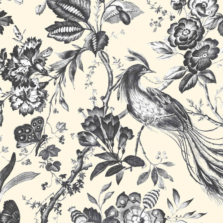 - Plumage Charcoal / Cream Wallpaper - WM - 368 - 01 - Decor Warehouse