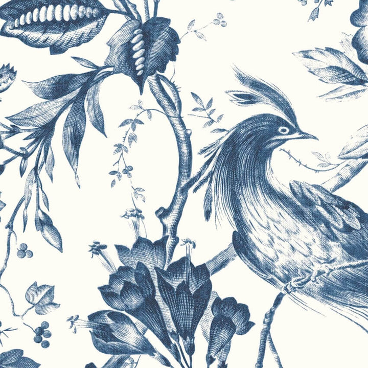 - Plumage Porcelain Blue Wallpaper - WM - 368 - 02 - Decor Warehouse
