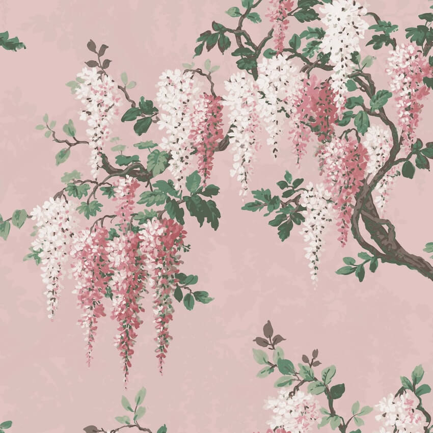 - Wisteria Pink Bloom Wallpaper - WM - 218 - Decor Warehouse